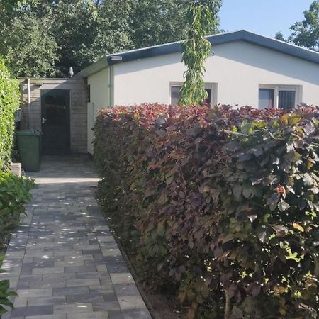 Vakantiebungalow Texel De Cocksdorp  Exterior foto