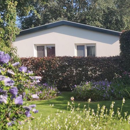 Vakantiebungalow Texel De Cocksdorp  Exterior foto