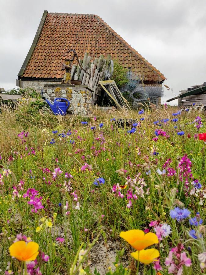 Vakantiebungalow Texel De Cocksdorp  Exterior foto